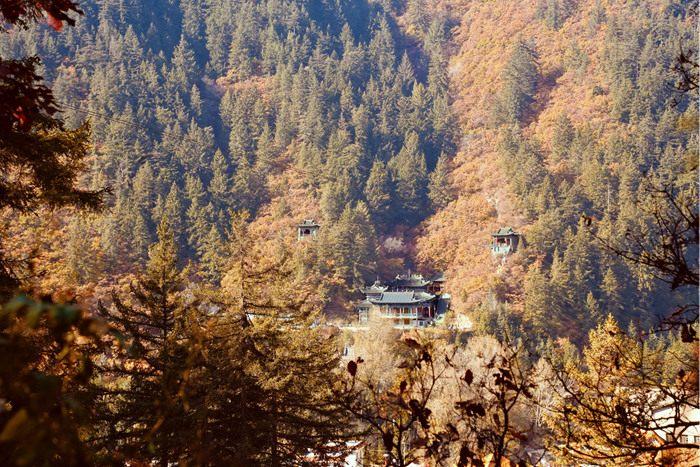 深秋美拉德色系藏在“陇右名山”的风景里