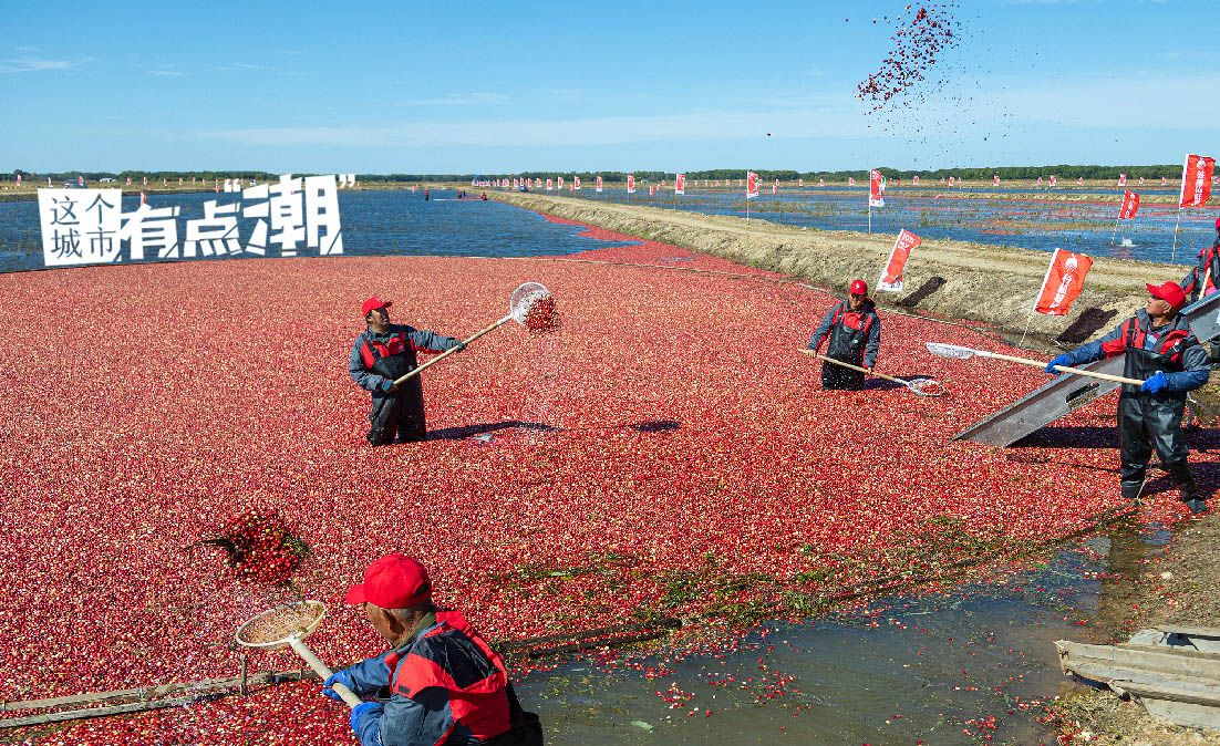 【这个城市有点潮】抚远：赴一场来自东北老铁的浪“蔓”之约！